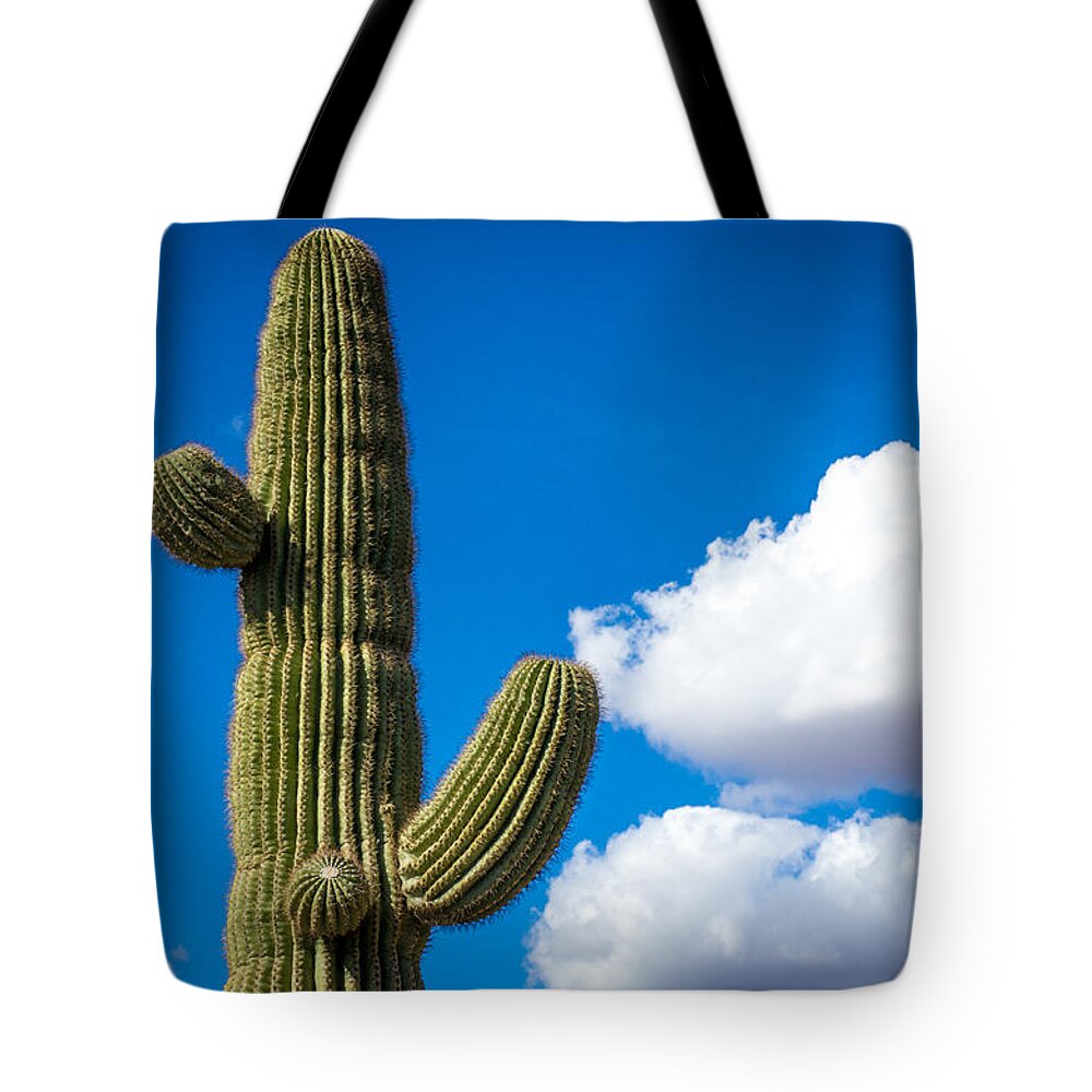 Cactus Tote Bag featuring the photograph Another Lazy Saguaro Sunday by Will Wagner