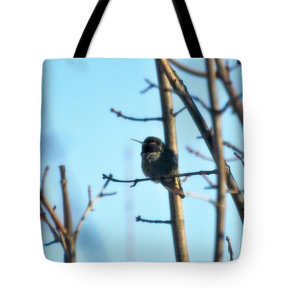 Trees Tote Bag featuring the photograph Another lucky shot by Teri Schuster
