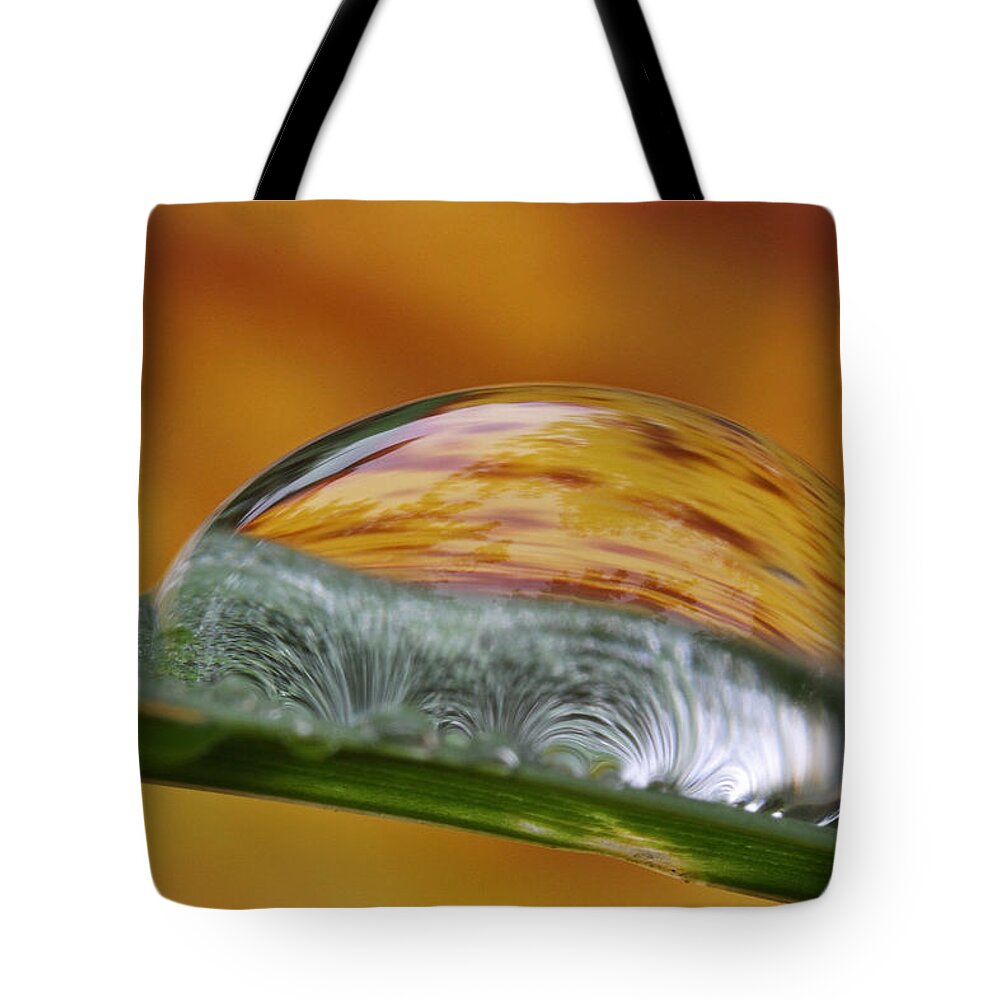Macro Tote Bag featuring the photograph Another World by Juergen Roth