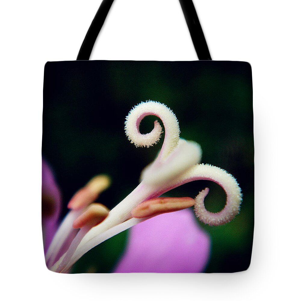 Antennae Tote Bag featuring the photograph Antennae of Beauty by Zinvolle Art