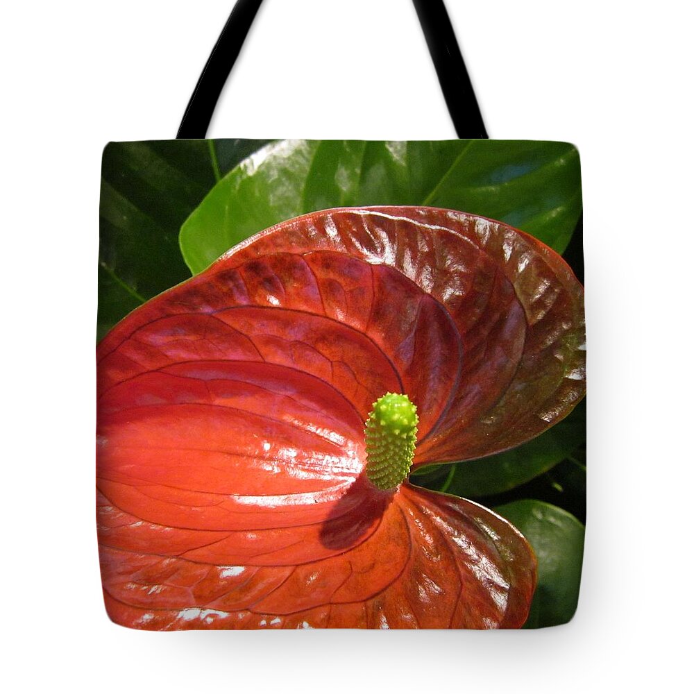 Flowerromance Tote Bag featuring the photograph Anthurium by Rosita Larsson