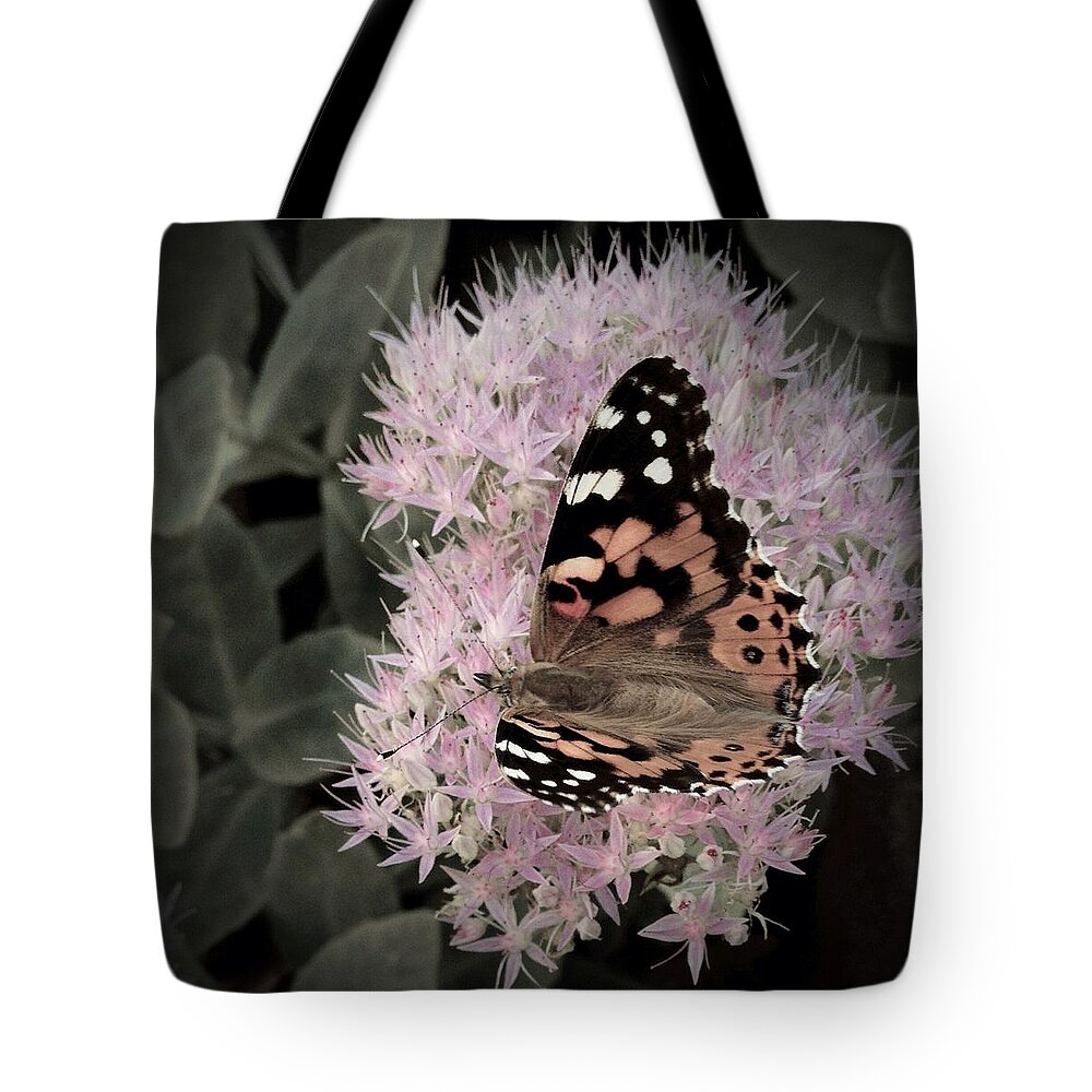 Monarch Butterfly Tote Bag featuring the photograph Antique Monarch by Photographic Arts And Design Studio