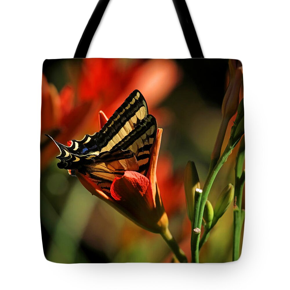 Swallowtail Tote Bag featuring the photograph Anybody In Here ? by Donna Kennedy