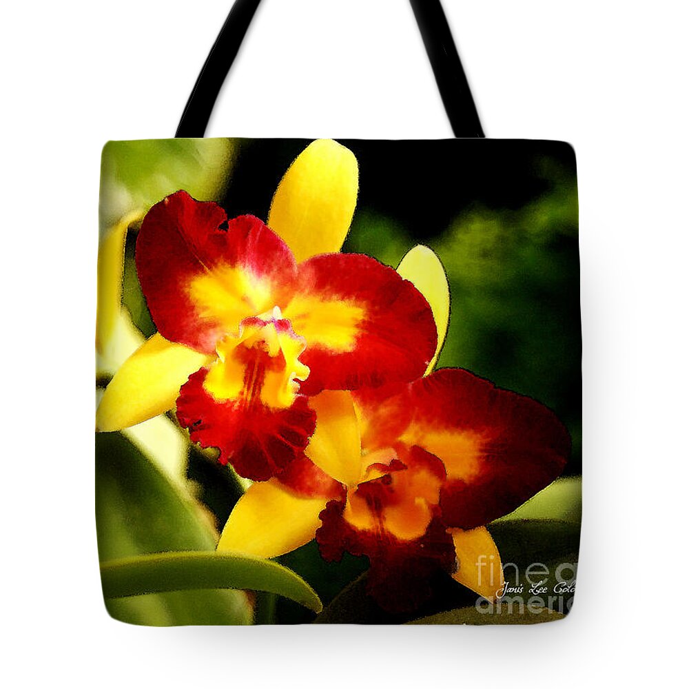Orchid Tote Bag featuring the photograph AOS Yellow Orchid 2 by Janis Lee Colon