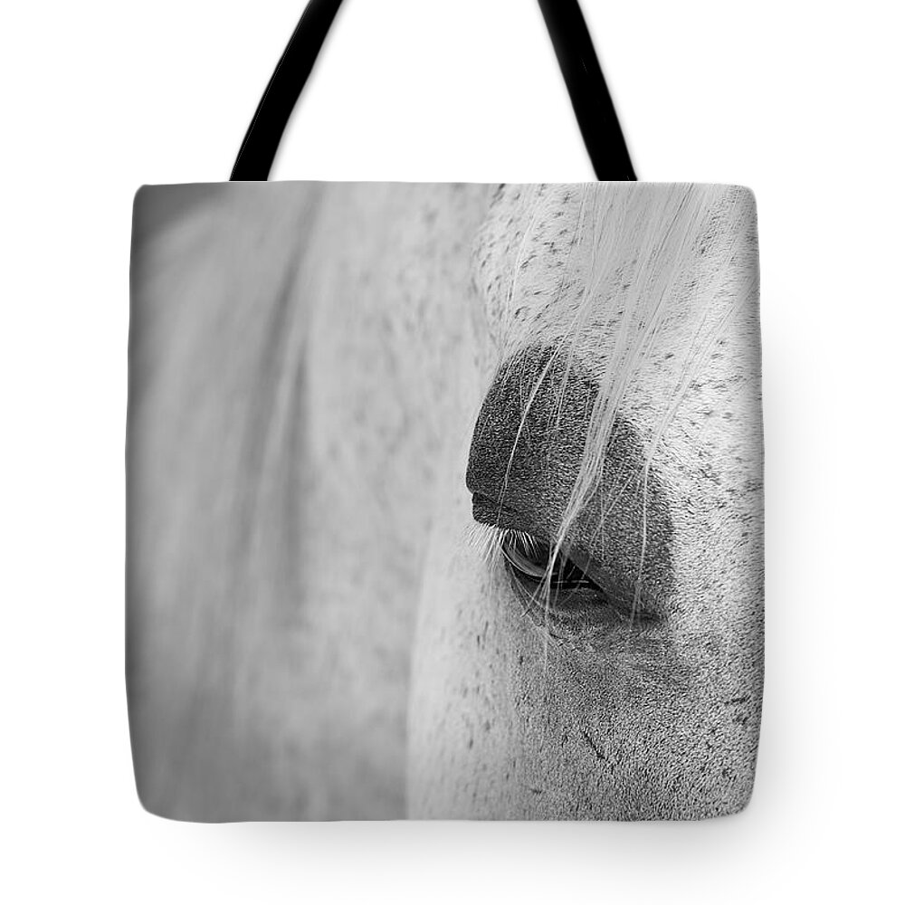 Animals Tote Bag featuring the photograph Appaloosa Eye by Mary Lee Dereske