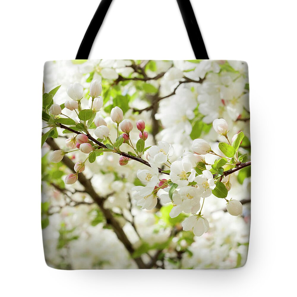 Full Frame Tote Bag featuring the photograph Apple Blossoms by Patty c