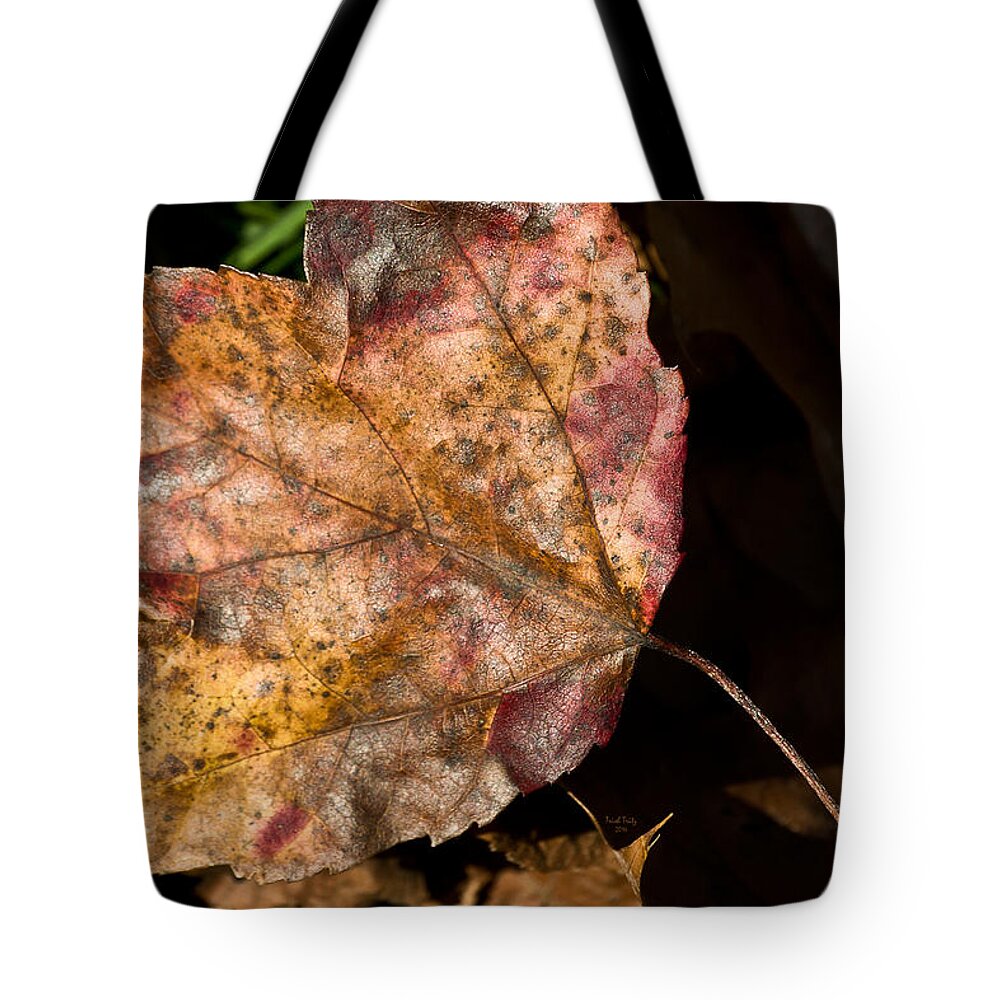 Leaves Tote Bag featuring the mixed media Apple Crisp by Trish Tritz