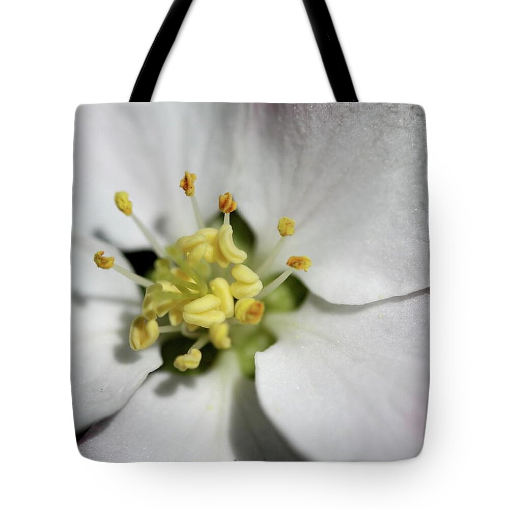 Appleblossom Tote Bag featuring the photograph Appleblossom Macro by Christiane Schulze Art And Photography