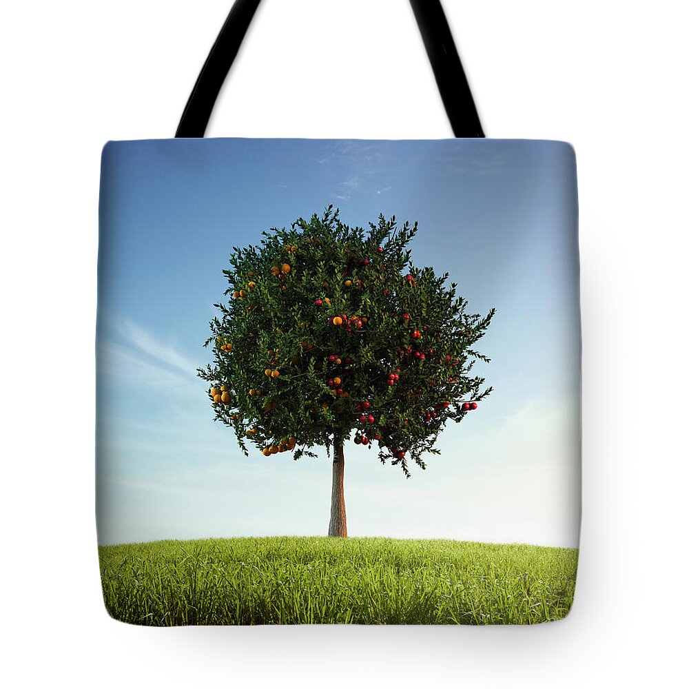 Tranquility Tote Bag featuring the photograph Apples And Oranges Growing On Tree by Colin Anderson Productions Pty Ltd