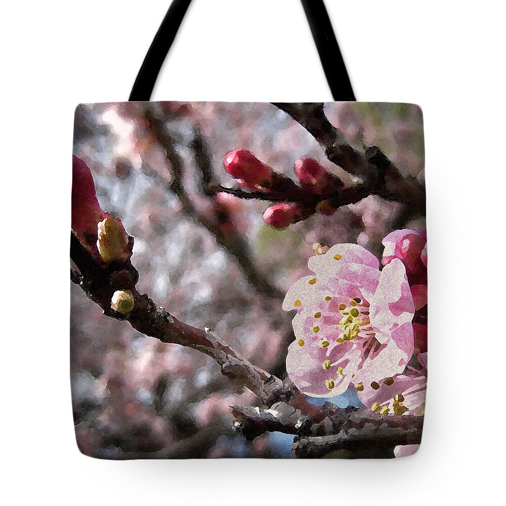 Tree Tote Bag featuring the photograph Apricot Floral by Kathy Bassett