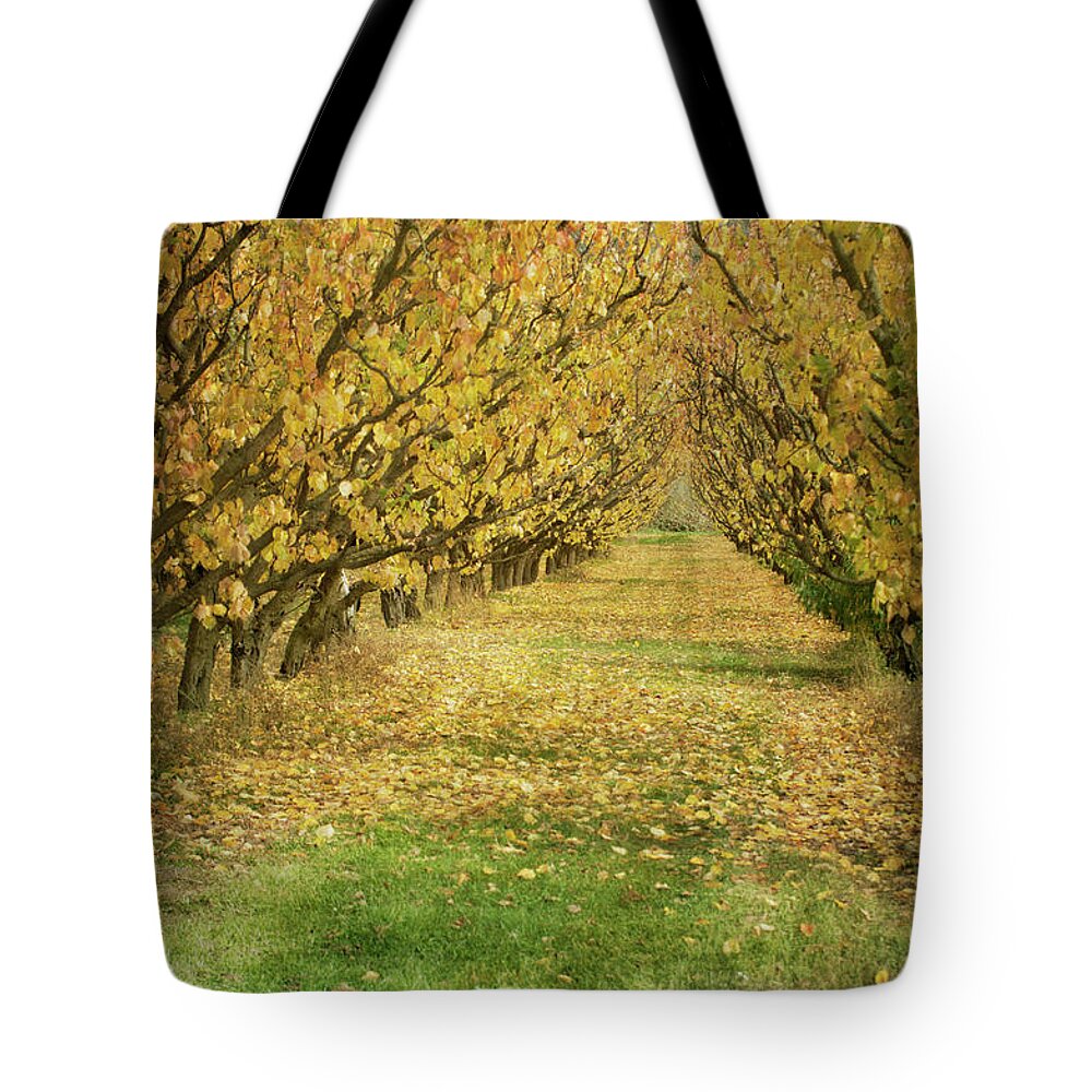 Grass Tote Bag featuring the photograph Apricot Trees by Jill Ferry