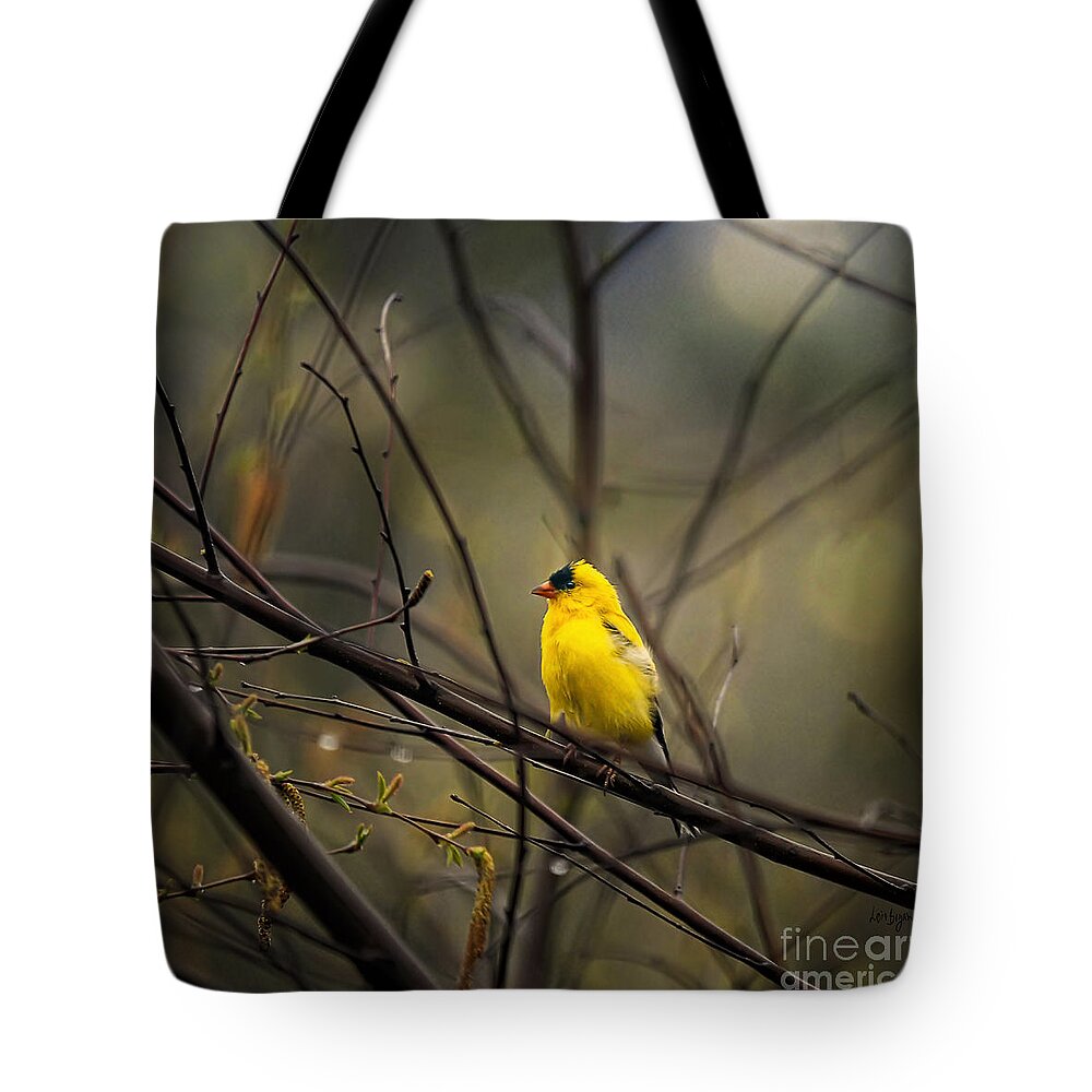 Bird Tote Bag featuring the photograph April Showers in Square Format by Lois Bryan