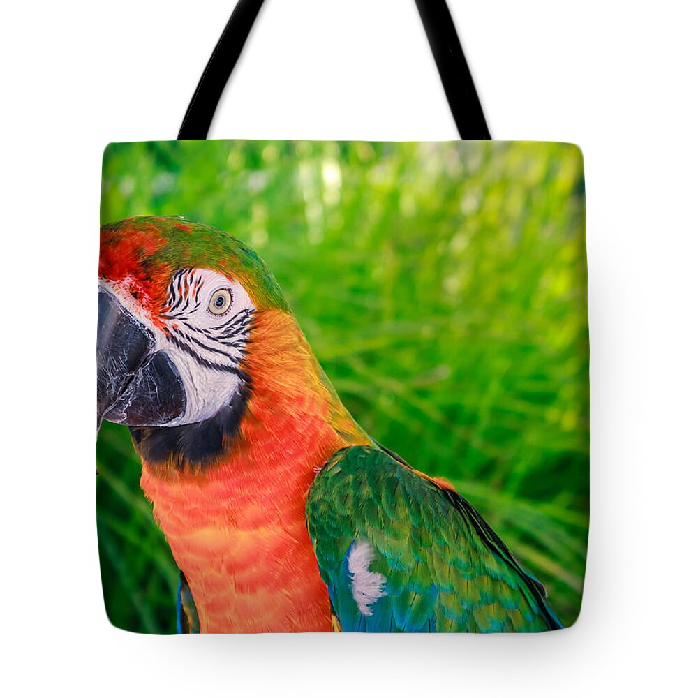 Ara Tote Bag featuring the photograph Ara macao by Traveler's Pics