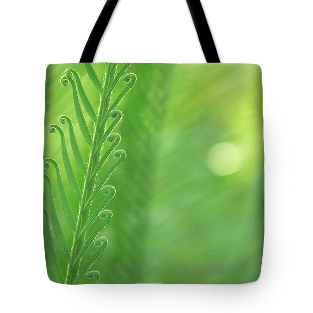 Arabesque Tote Bag featuring the photograph Arabesque by Evelyn Tambour