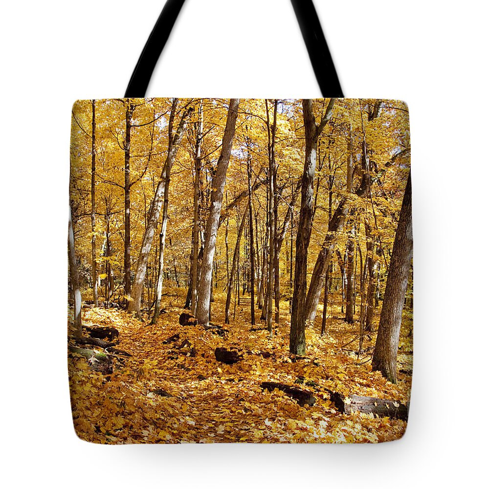 Arboretum Tote Bag featuring the photograph Arboretum trail by Steven Ralser