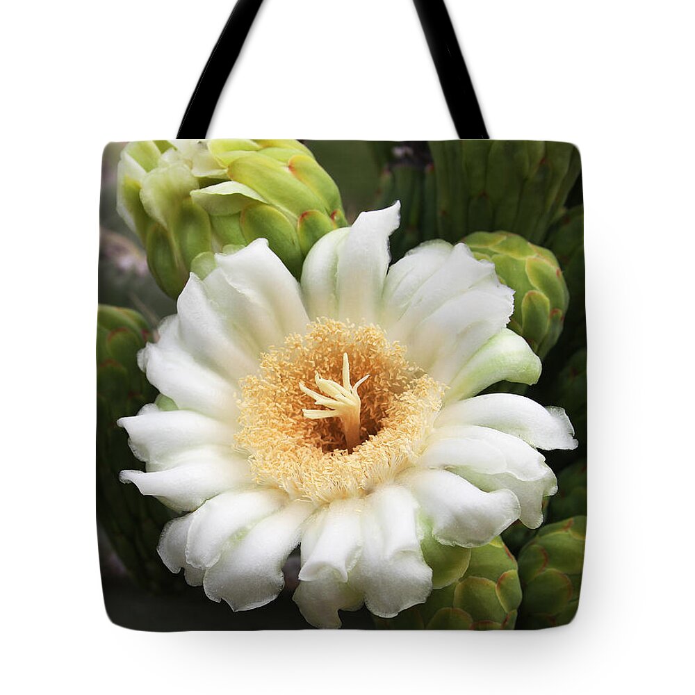 Arizona State Flower Tote Bag featuring the photograph Arizona State Flower The Saguaro Blossom by Tom Janca
