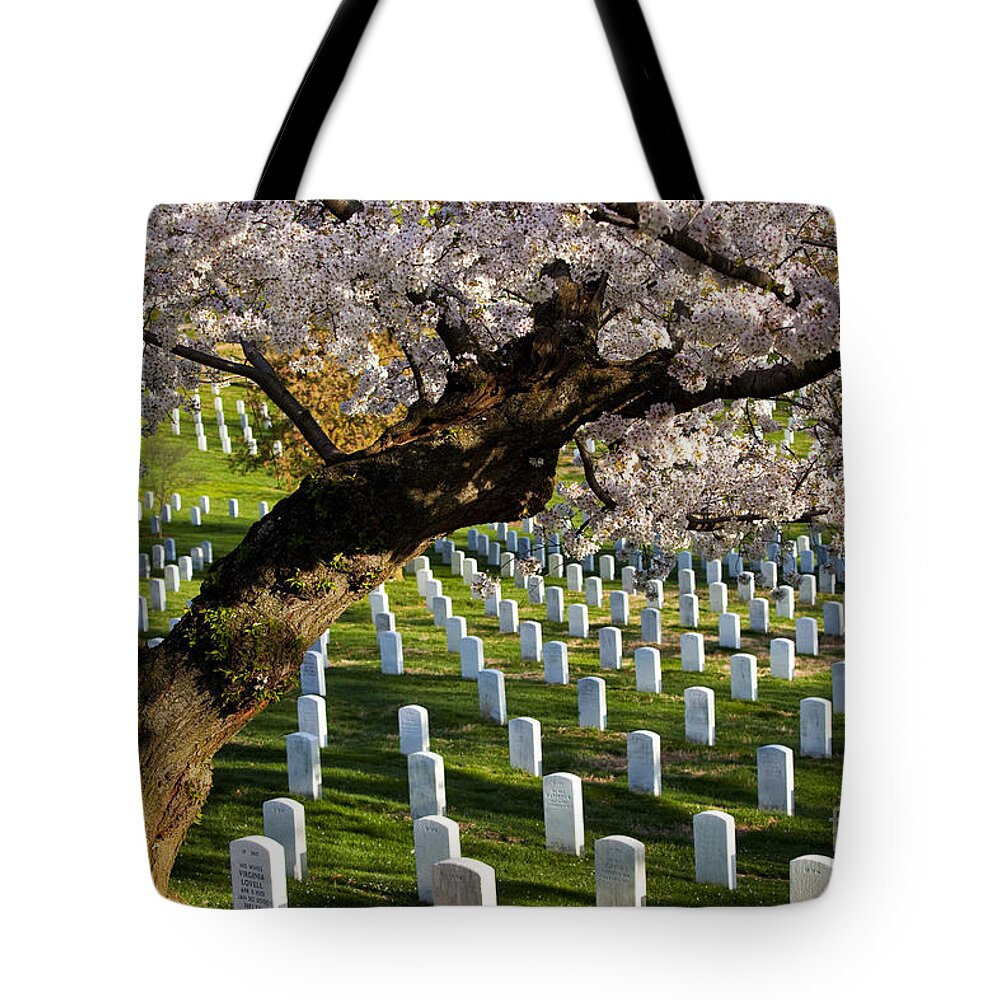 Arlington Tote Bag featuring the photograph Arlington National Cemetary by Brian Jannsen