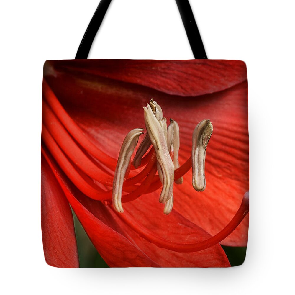 Lily Tote Bag featuring the photograph Arrayed Like One of These by Nikolyn McDonald