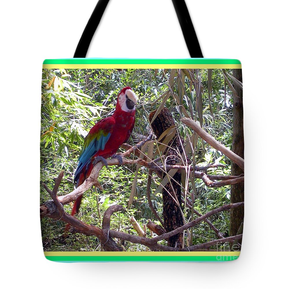 Artistic Tote Bag featuring the photograph Artistic Wild Hawaiian Parrot by Joseph Baril