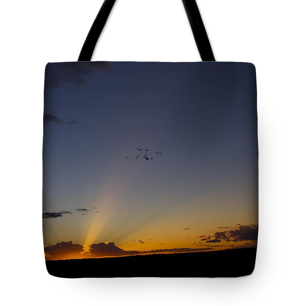 Photograph Tote Bag featuring the photograph As Night Falls by Rhonda McDougall