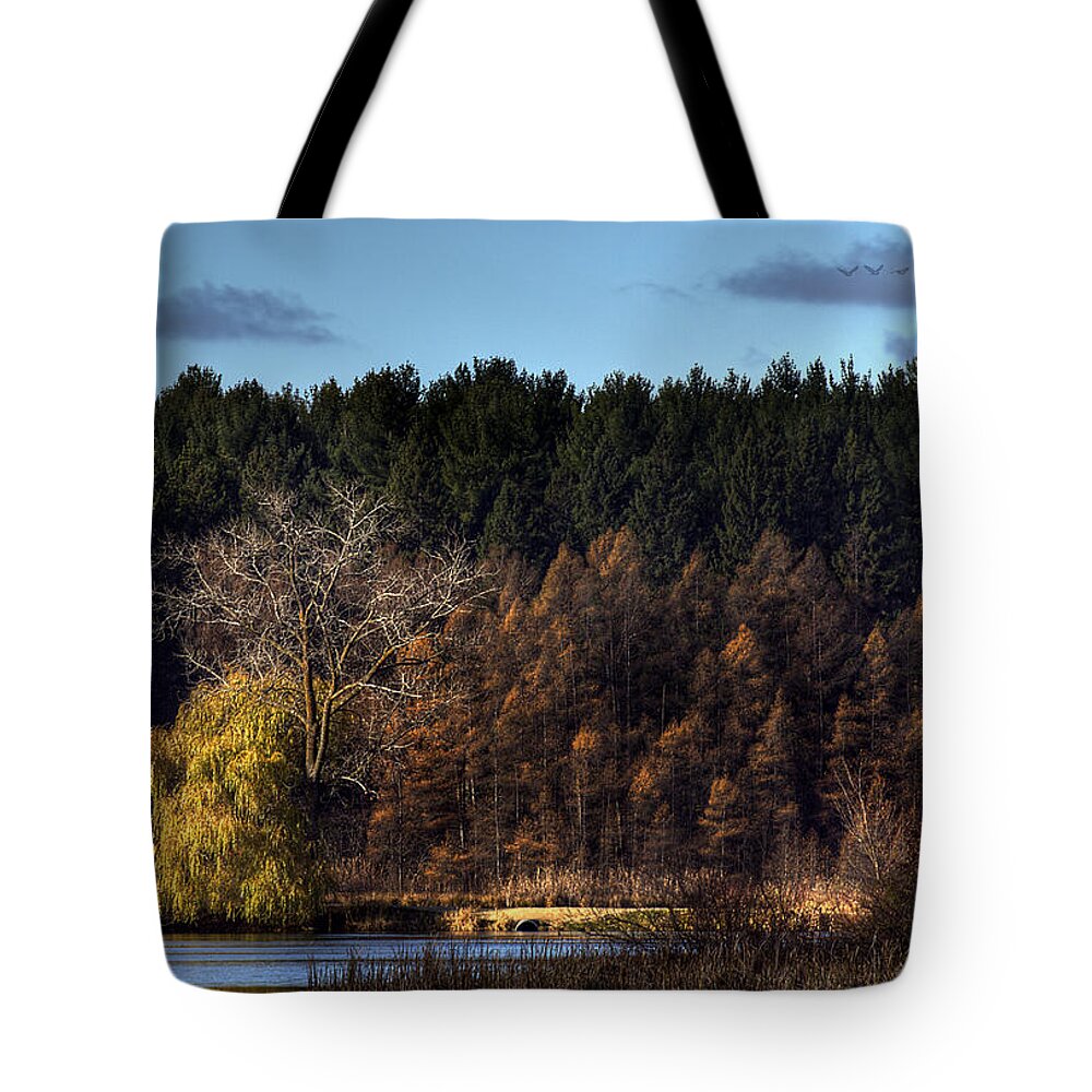 Fall Tote Bag featuring the photograph As Seen in a Dream by Thomas Young