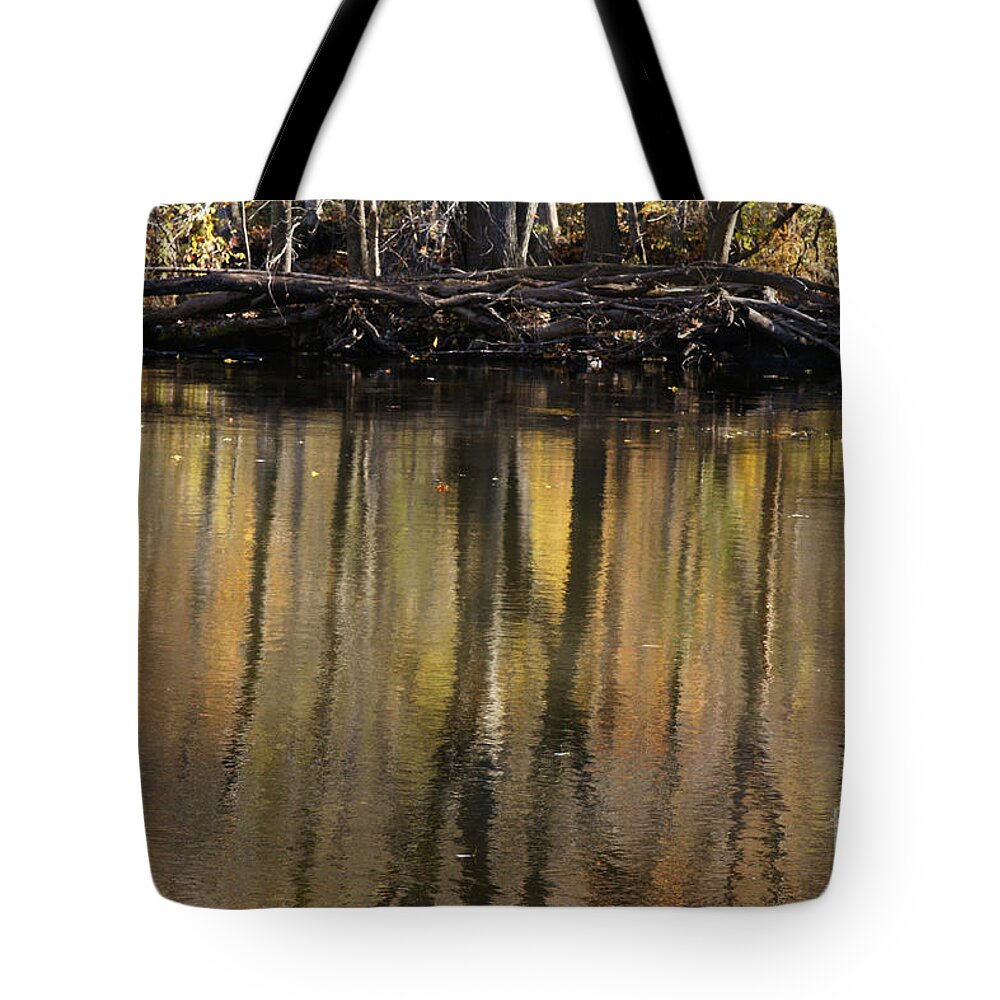 River Tote Bag featuring the photograph As Through A Leafless Landscape Flows A River by Linda Shafer