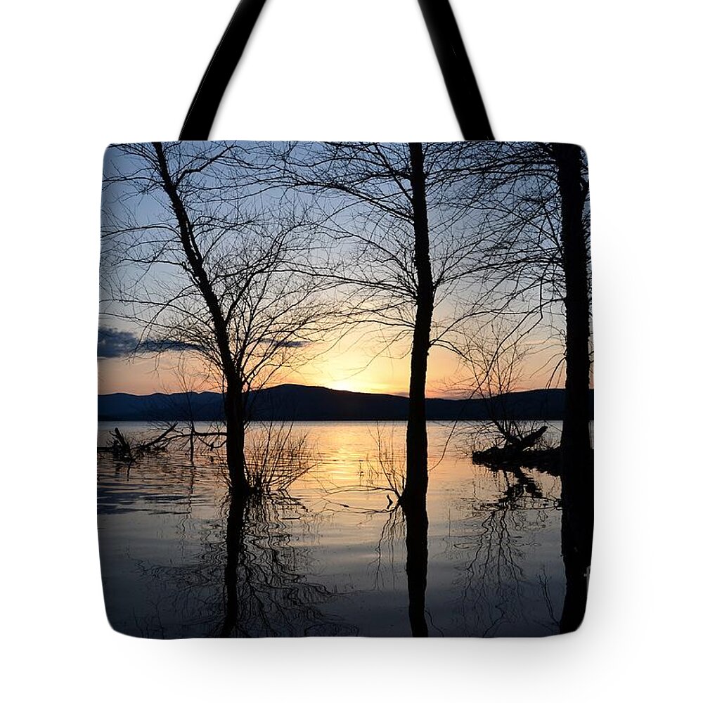 Water Tote Bag featuring the photograph Ashokan Reservoir 43 by Cassie Marie Photography