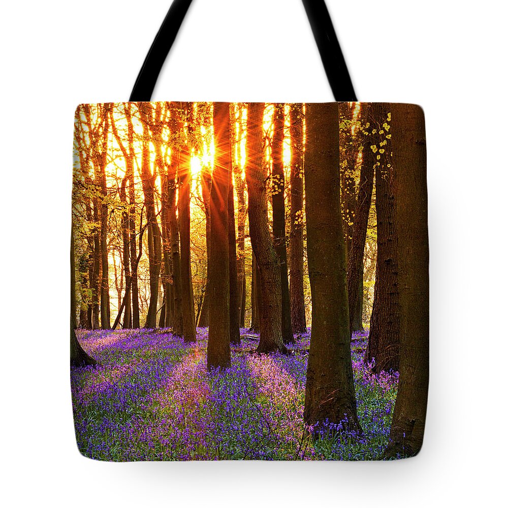 Tranquility Tote Bag featuring the photograph Ashridge Estate Bluebell by Mjmccormack.co.uk