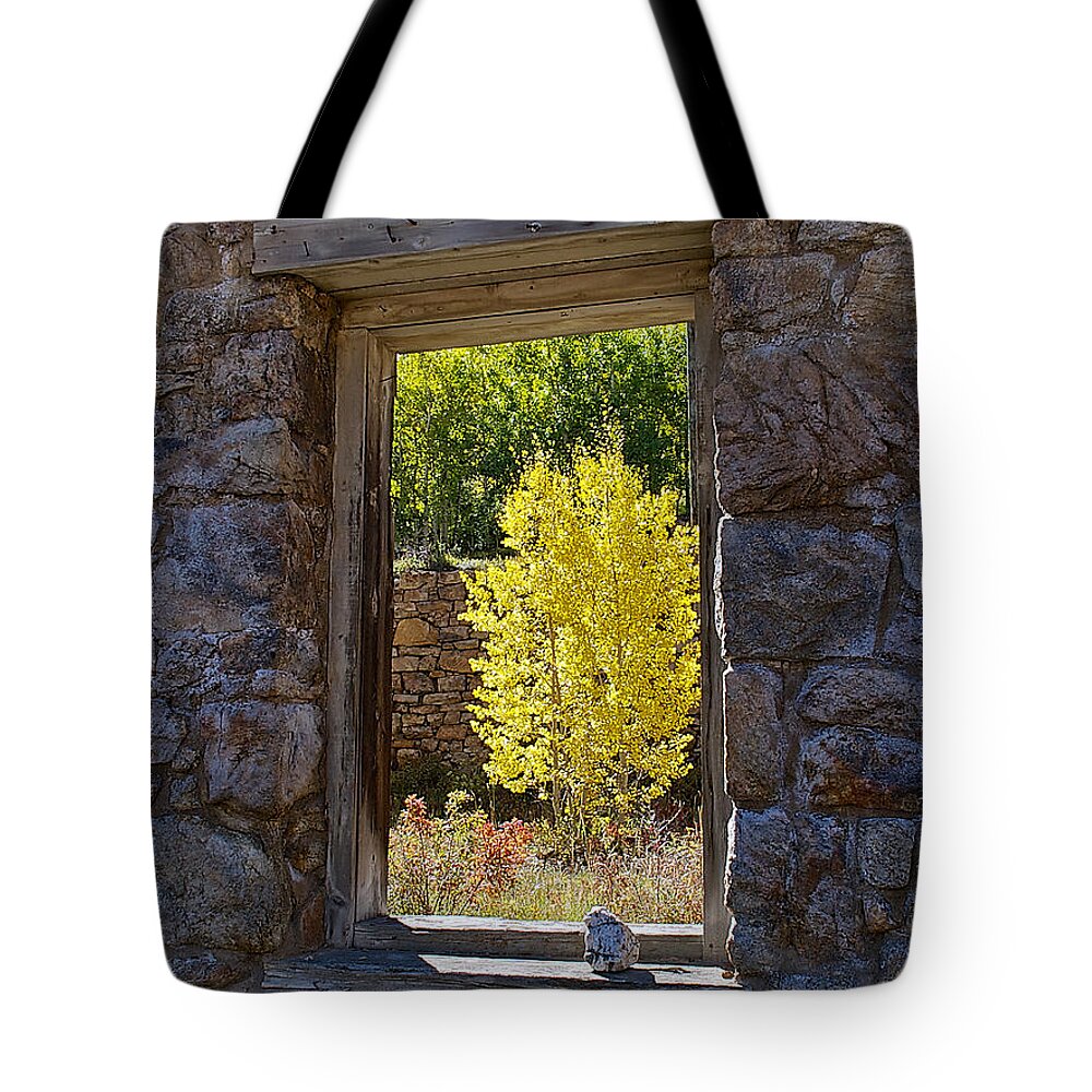 Aspen Tote Bag featuring the photograph Aspen Gold Through Time by Stephen Johnson