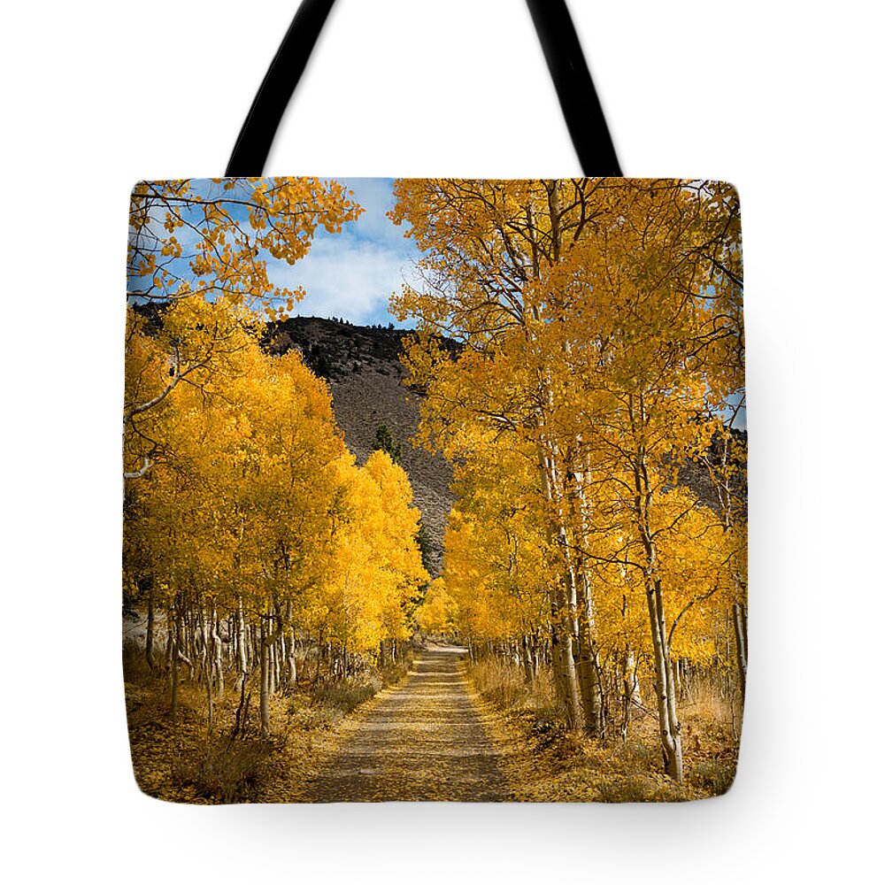  Tote Bag featuring the photograph Golden Aspen Road In Autumn by Priya Ghose