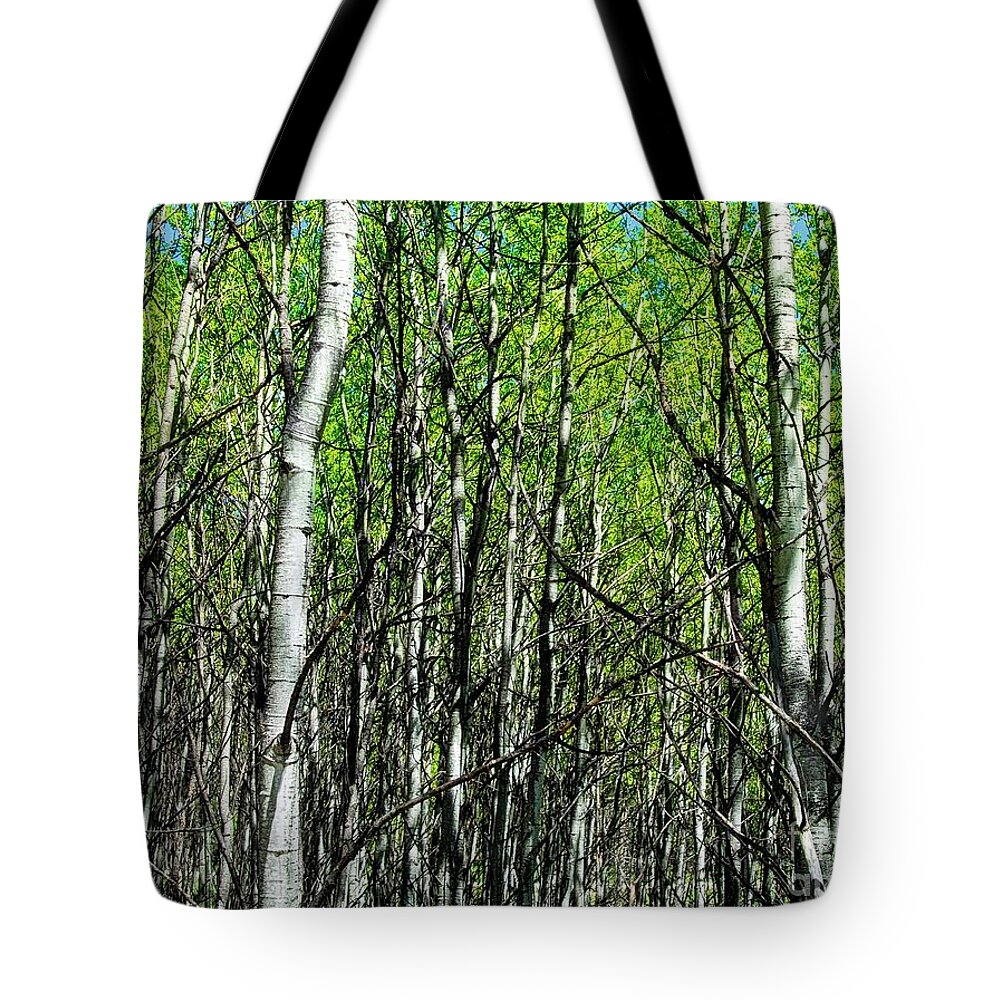 Aspen Tote Bag featuring the photograph Aspen Trees by Anthony Wilkening