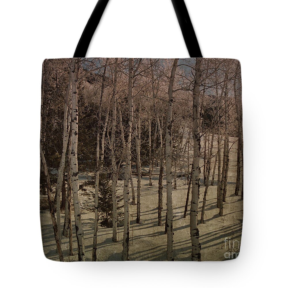 Aspens Tote Bag featuring the photograph Aspens Morning Glow by Sharon Elliott