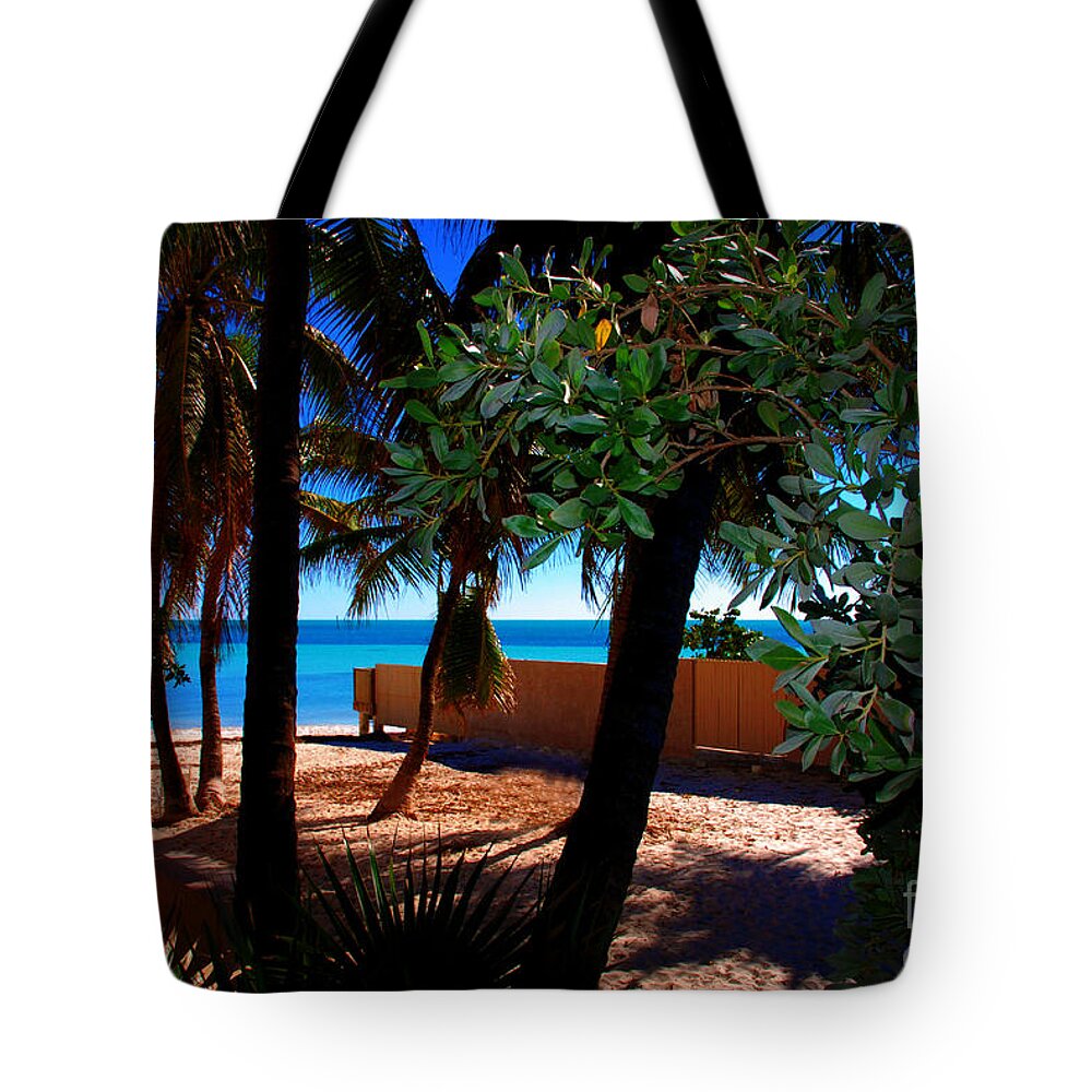 Dogs Beach Tote Bag featuring the photograph At Dog's Beach in Key West by Susanne Van Hulst