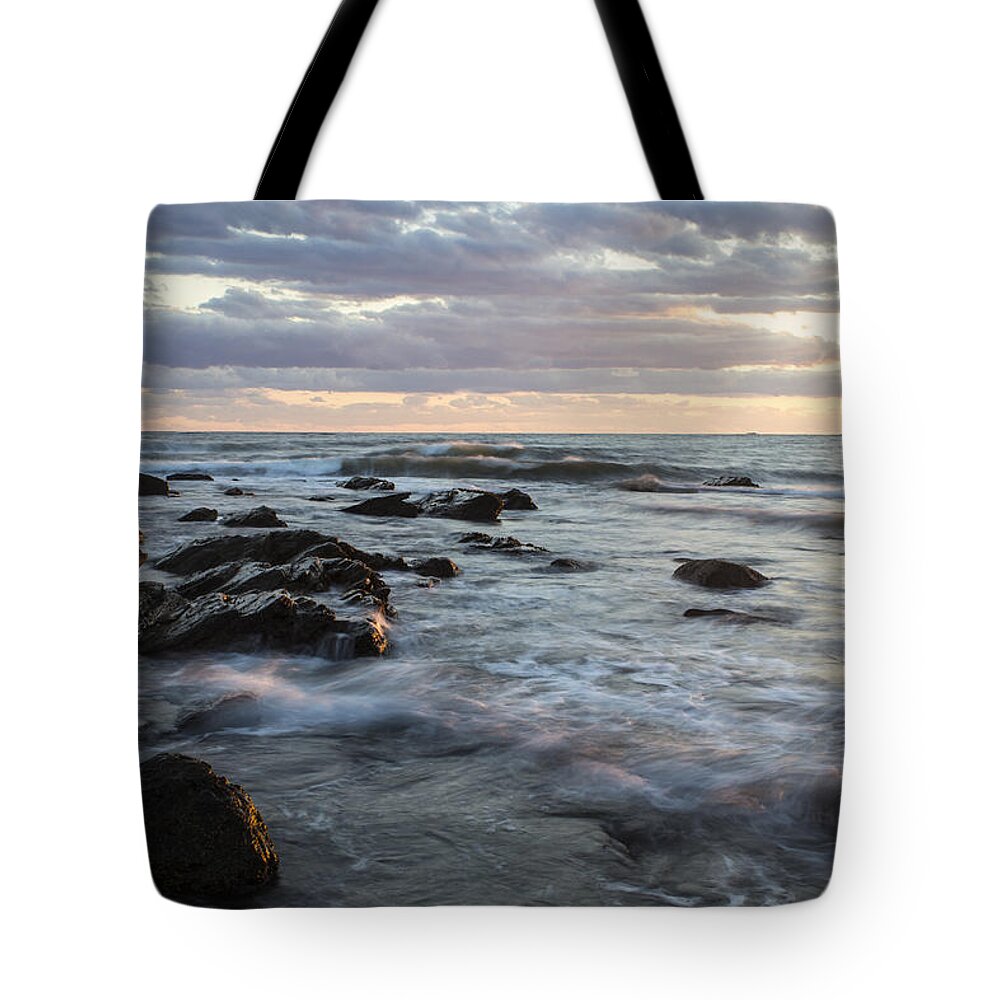 Andrew Pacheco Tote Bag featuring the photograph At The Water's Edge by Andrew Pacheco