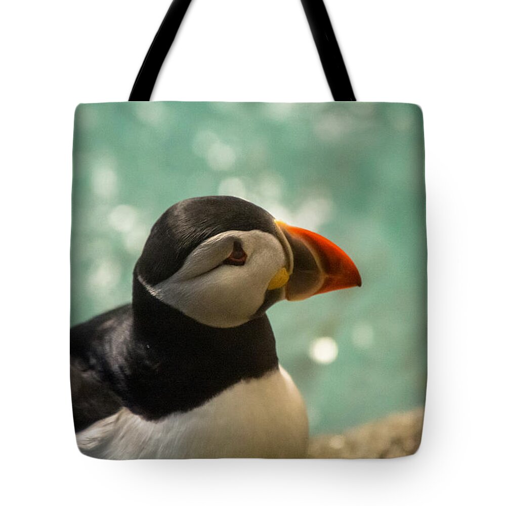 One Tote Bag featuring the photograph Atlantic puffin by Eti Reid