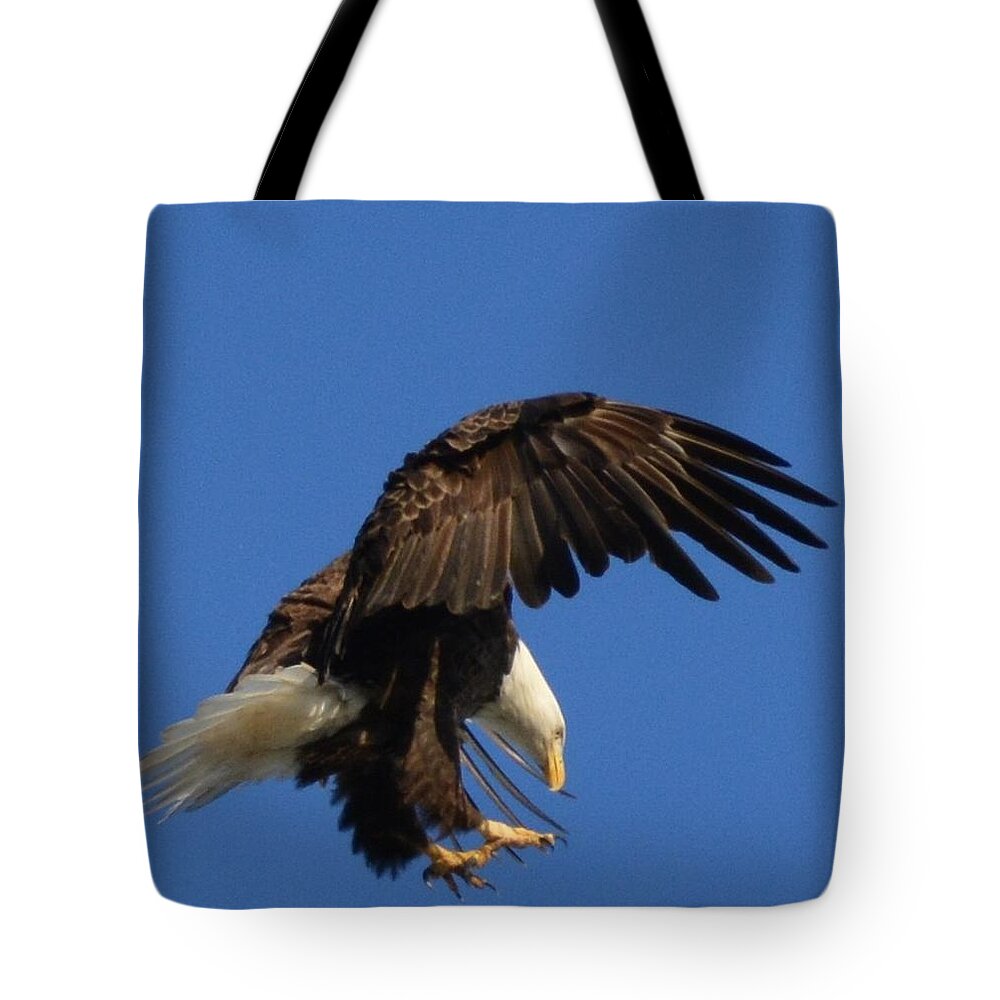 Eagle Tote Bag featuring the photograph Attack Mode by Tamara Michael