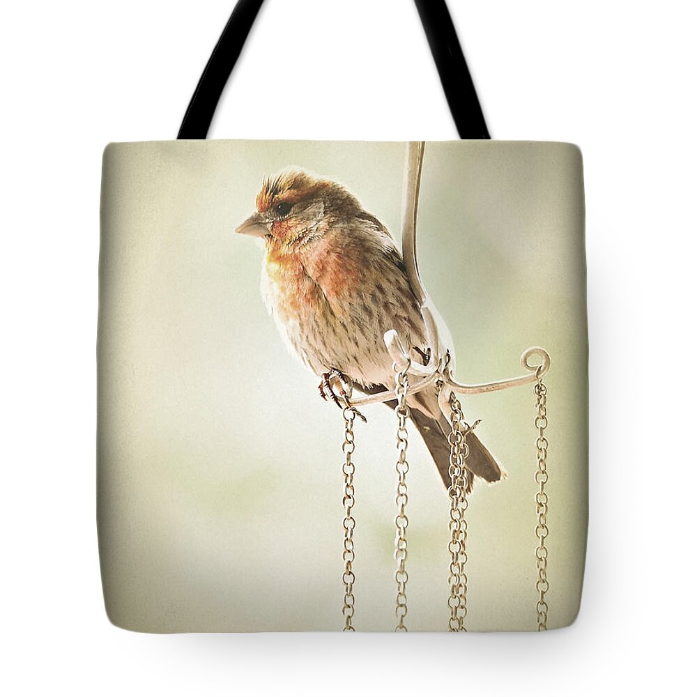Birds Tote Bag featuring the photograph Atticus by Parrish Todd