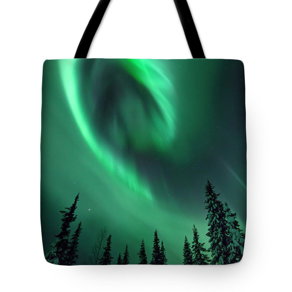 Tranquility Tote Bag featuring the photograph Aurora In A Frozen Forest In Kiruna by David Clapp