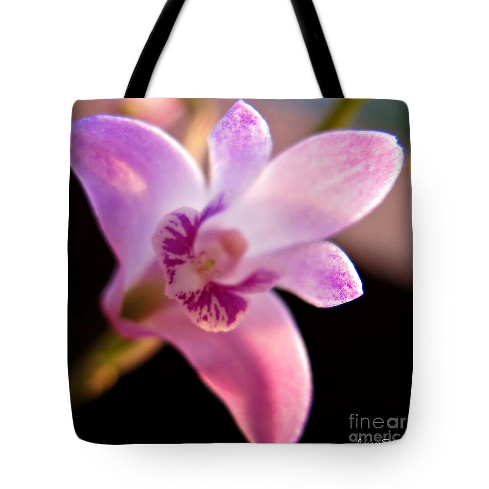 Bush Tote Bag featuring the photograph Australian Bush Orchid by Leanne Seymour