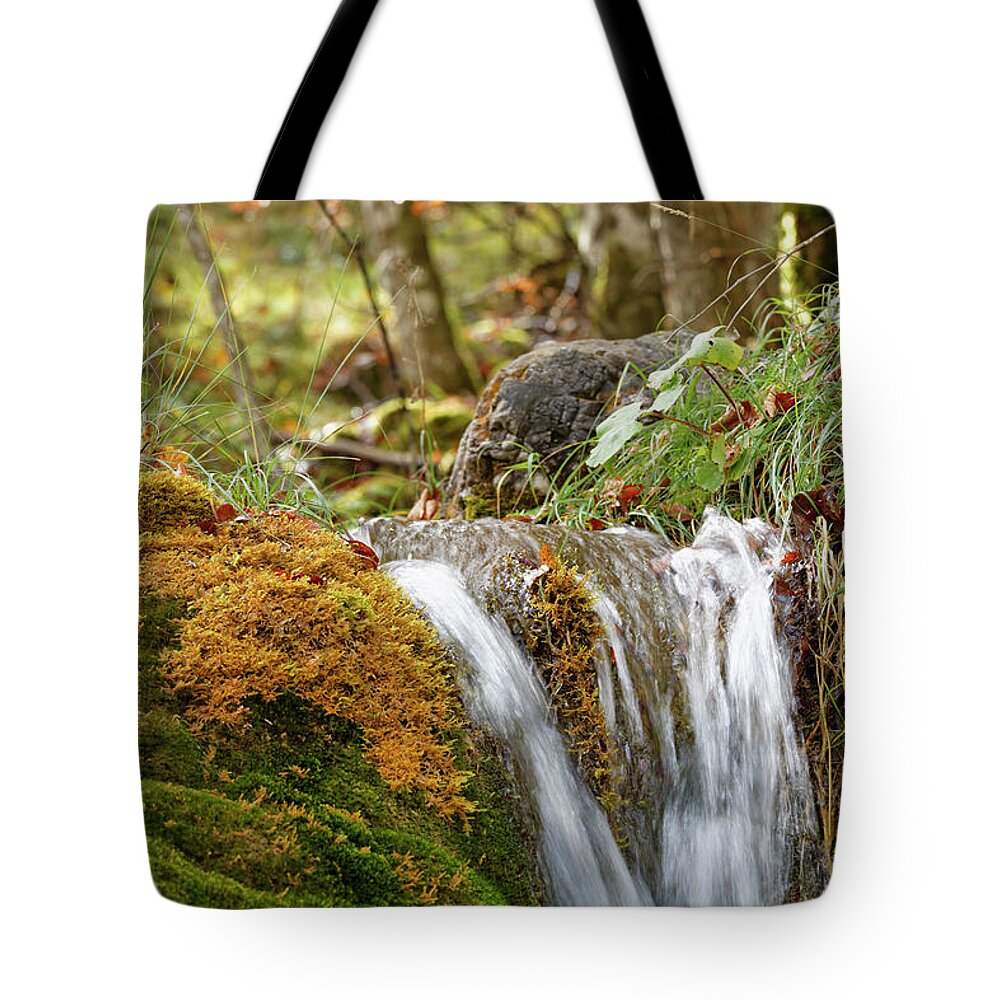 Tranquility Tote Bag featuring the photograph Austria, Vorarlberg, Waterfall Near Bad by Westend61