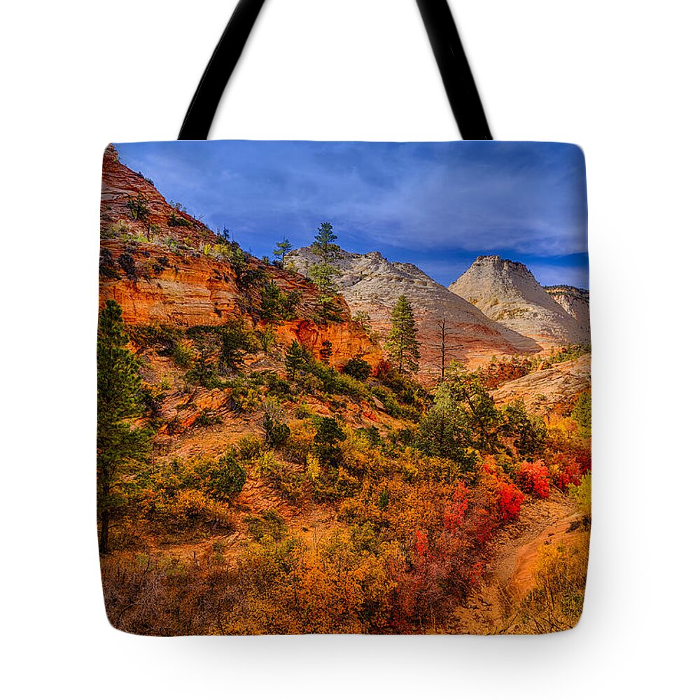 Zion Tote Bag featuring the photograph Autumn Arroyo by Greg Norrell