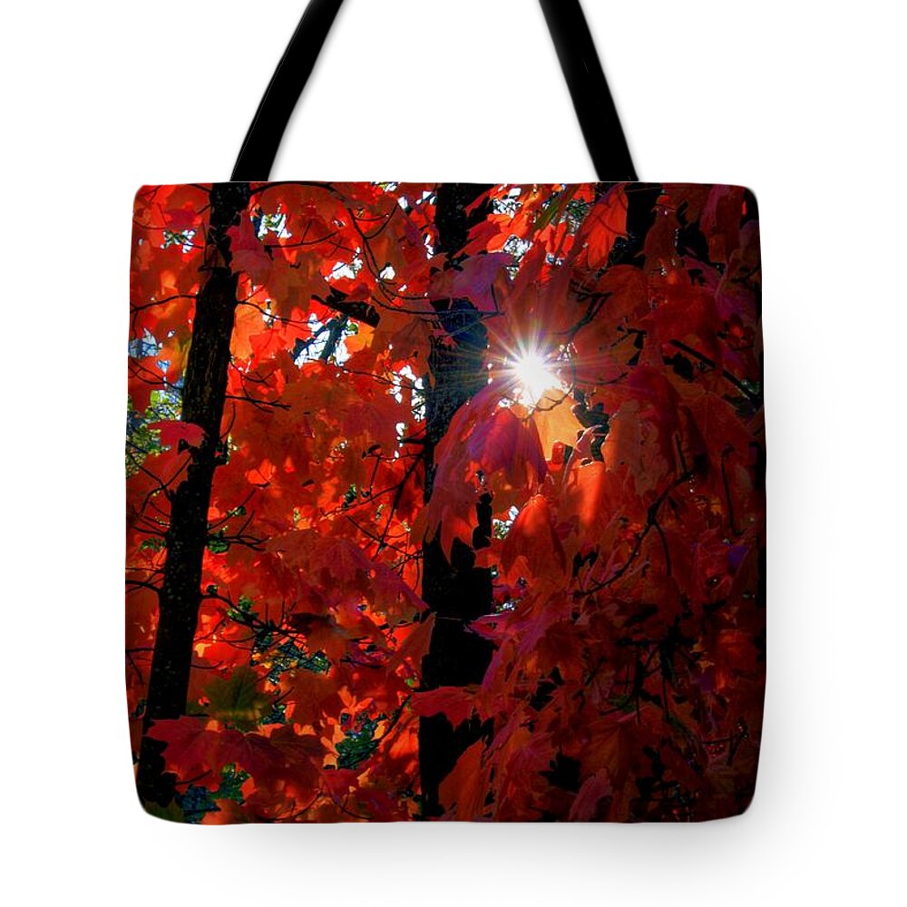 Autumn Brilliance Tote Bag featuring the photograph Autumn Brilliance by Patrick Witz