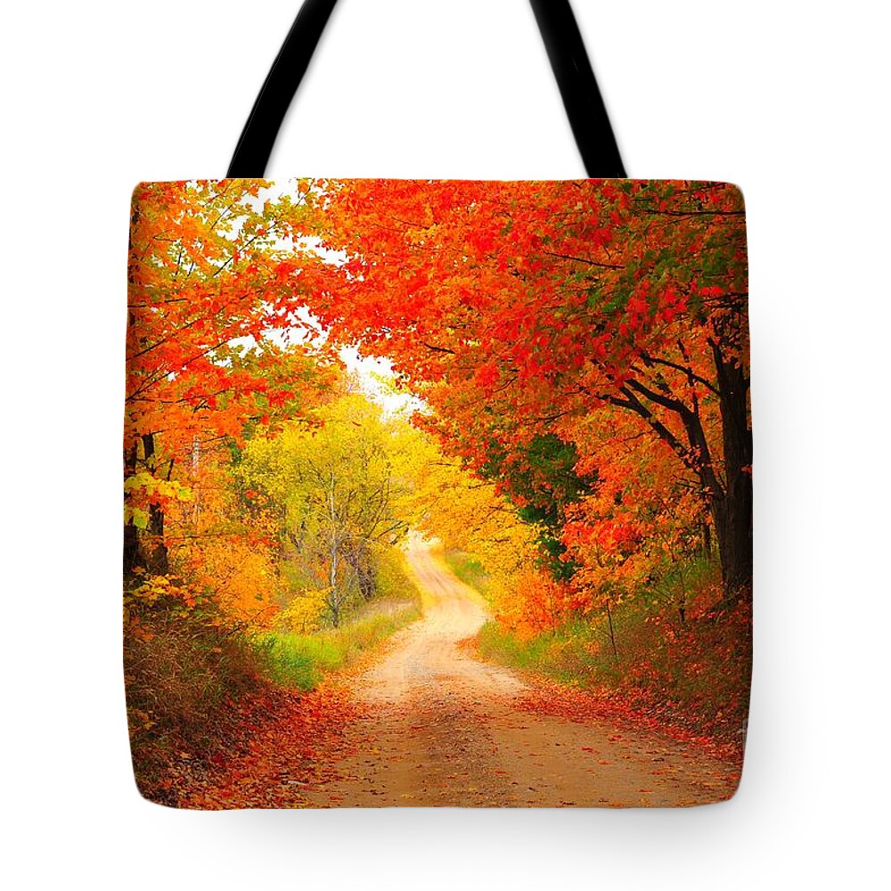 Autumn Tote Bag featuring the photograph Autumn Cameo 2 by Terri Gostola