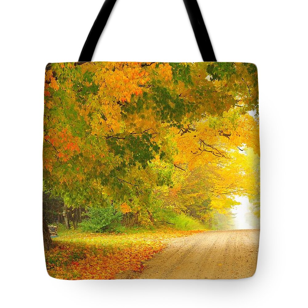 Autumn Tote Bag featuring the photograph Autumn Cascade by Terri Gostola