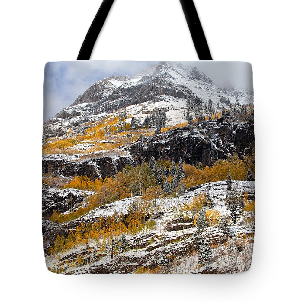 Winter Tote Bag featuring the photograph Autumn Clearing by Darren White