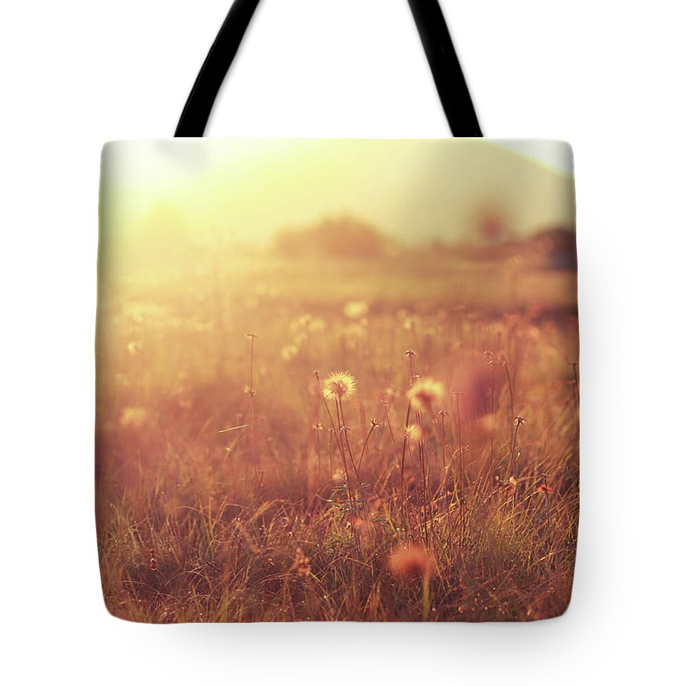 Scenics Tote Bag featuring the photograph Autumn Colored Nature by Lechatnoir