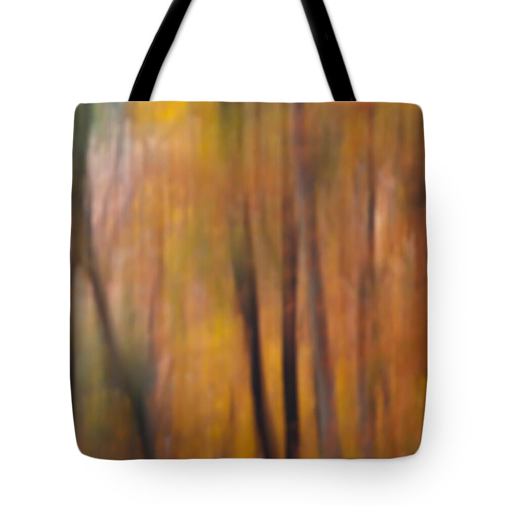 Fall Tote Bag featuring the photograph Autumn Colors IV by Daniel Csoka