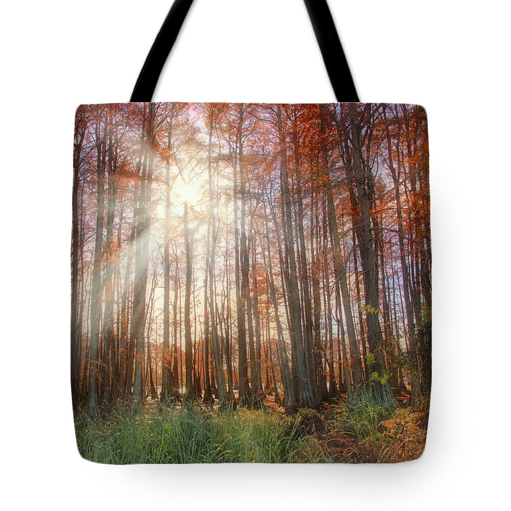Autumn Tote Bag featuring the photograph Autumn Cypress - Fall - Trees by Jason Politte