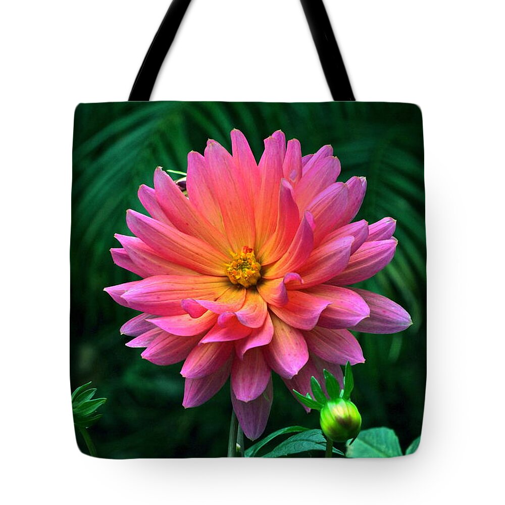 Dahlia Flowers And Buds Tote Bag featuring the photograph Autumn Dahlias And Palms by Byron Varvarigos