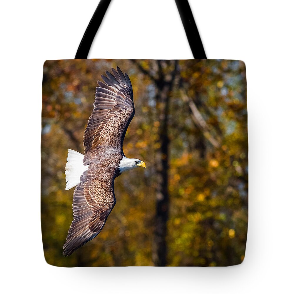 Da* 300 Tote Bag featuring the photograph Autumn Eagle by Lori Coleman